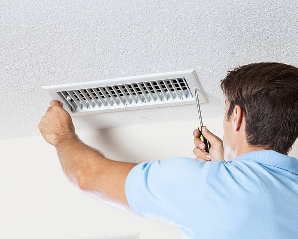 Environmental Consulting for Mold Prevention in Pottsville, PA
